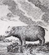 unknow artist hippopotamus,flodhasten eller sjokon,som den ocksa kallades France oil painting artist